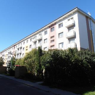 Prodej bytu 2+1 44 m² Milovice, Spojovací