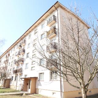 Pronájem bytu 1+1 28 m² Milovice, Braniborská