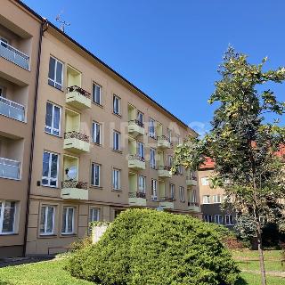 Pronájem bytu 2+1 56 m² Nymburk, Palackého třída