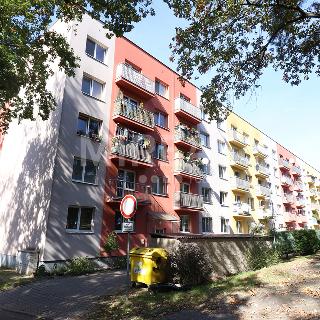 Pronájem bytu 2+1 43 m² Milovice, Komenského