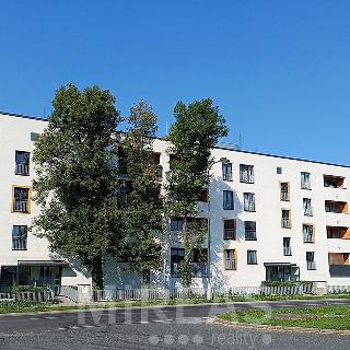 Pronájem bytu 2+kk 66 m² Lysá nad Labem, Jedličkova