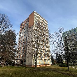 Pronájem bytu 2+1 55 m² Čelákovice, J. Zeyera