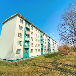 Prodej bytu 3+kk 45 m² Milovice, Braniborská