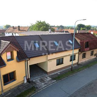 Prodej bytu 5+1 a více 184 m² Lysá nad Labem, Palackého