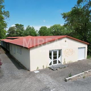 Pronájem obchodu 539 m² Milovice, Armádní