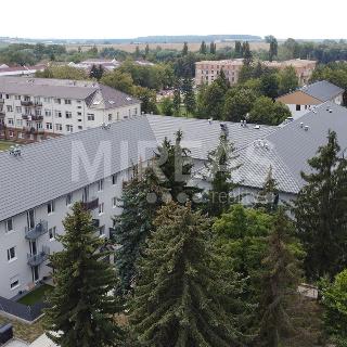 Pronájem bytu 2+kk 52 m² Milovice, Armádní