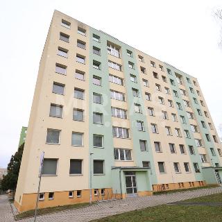 Pronájem bytu 1+1 41 m² Nymburk, Mládežnická