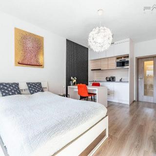 Prodej bytu 1+kk a garsoniéry 41 m² Praha, Petrohradská