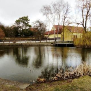 Prodej stavební parcely 1252 m² Dolní Břežany
