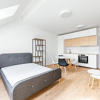 Pronájem bytu 1+kk, garsoniery 38 m&sup2; Praha