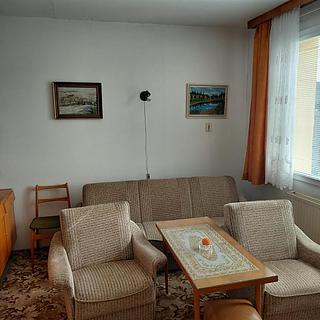Pronájem bytu 1+1 42 m&sup2; Sušice
