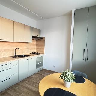 Pronájem bytu 1+1 36 m² Hradec Králové, Kyjevská