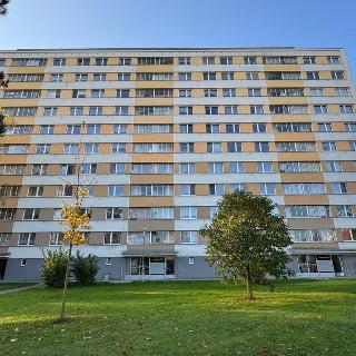 Prodej bytu 3+1 66 m² Hradec Králové, Třebechovická