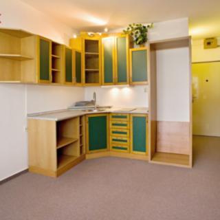 Pronájem bytu 1+kk a garsoniéry 27 m² České Budějovice 3, J. Plachty