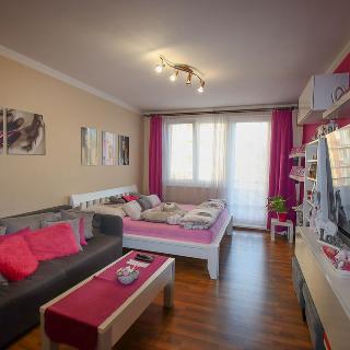 Pronájem bytu 2+1 60 m² České Budějovice, Staroměstská