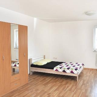 Pronájem bytu 1+kk a garsoniéry 32 m² České Budějovice, Kamnářská