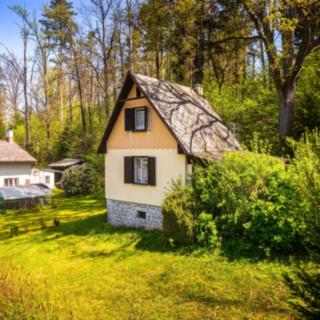 Prodej chaty 50 m² Borovnice