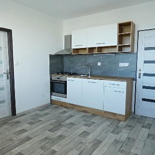 Pronájem bytu 1+1 40 m² České Budějovice, J. Opletala