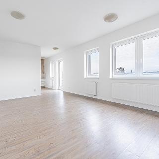 Pronájem bytu 1+kk a garsoniéry 46 m² České Budějovice, K. Šafáře