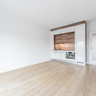 Pronájem bytu 1+kk a garsoniéry 26 m² České Budějovice, Husova tř.