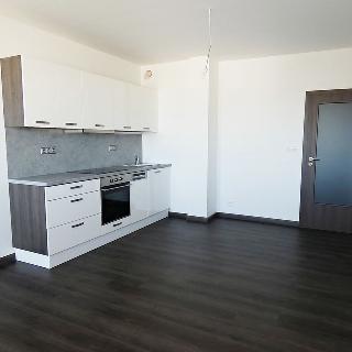 Pronájem bytu 3+kk 68 m² České Budějovice, České Vrbné