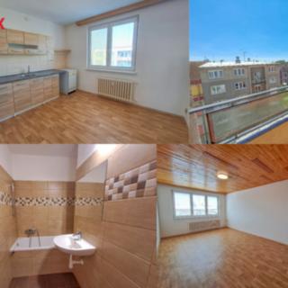 Pronájem bytu 3+1 69 m² České Budějovice, Roháče z Dubé
