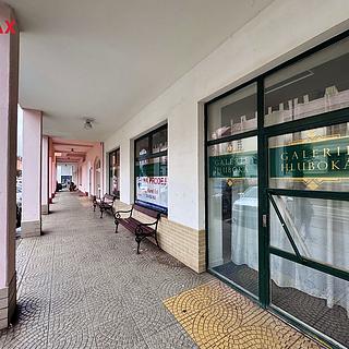 Prodej obchodu 208 m² Hluboká nad Vltavou
