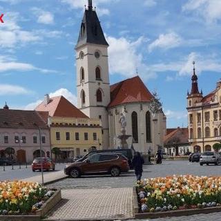 Prodej komerčního pozemku 1 124 m² Vodňany