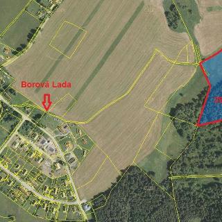 Prodej lesa 29 205 m² Borová Lada