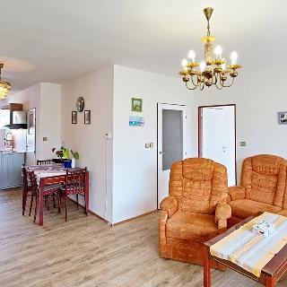 Pronájem rodinného domu 220 m² Borovany, Zahradní