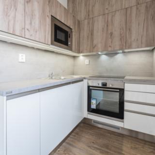 Pronájem bytu 1+kk a garsoniéry 46 m² České Budějovice 2, K. Šafáře