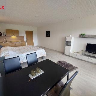 Prodej bytu 1+kk a garsoniéry 38 m² Strážný