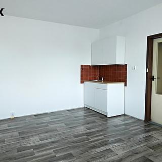 Pronájem bytu 2+kk 42 m&sup2; České Budějovice
