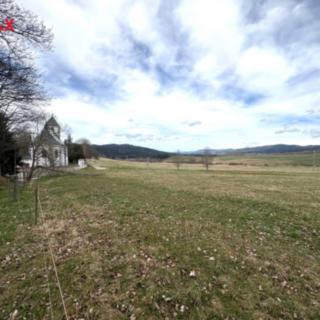 Prodej louky 5030 m² Želnava