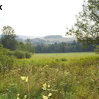 Prodej ostatních pozemků 8040 m&sup2; Borová Lada