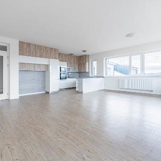 Pronájem bytu 3+kk 152 m² České Budějovice, K. Šafáře