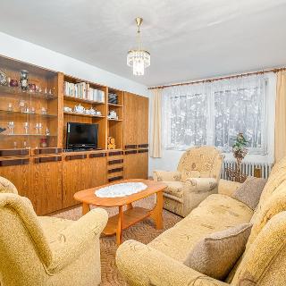 Prodej bytu 2+1 54 m² České Budějovice, Družstevní