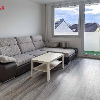 Pronájem bytu 2+1 61 m² České Budějovice, Družstevní