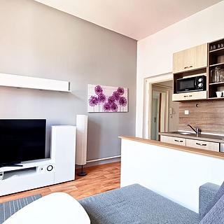 Pronájem bytu 2+kk 37 m&sup2; České Budějovice