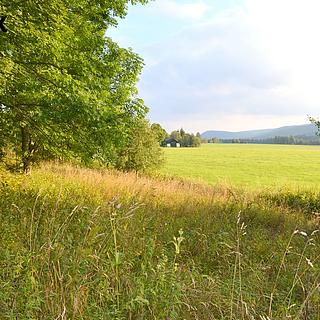 Prodej ostatních pozemků 8040 m&sup2; Borová Lada