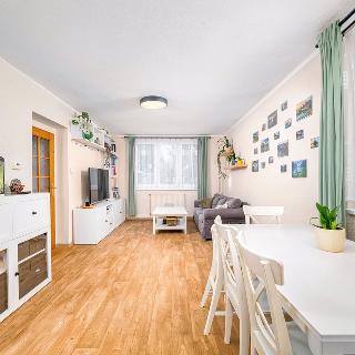 Prodej bytu 3+1 68 m² Strunkovice nad Blanicí, Družstevní