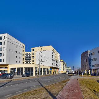 Pronájem bytu 1+kk a garsoniéry 50 m² České Budějovice, České Vrbné