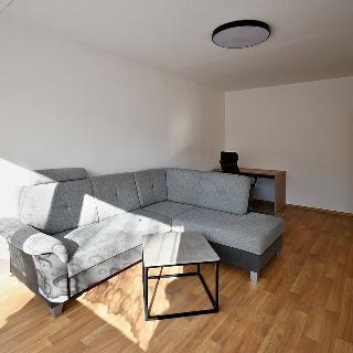 Pronájem bytu 2+1 72 m² České Budějovice, Lipenská