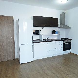 Prodej bytu 1+kk a garsoniéry 30 m² České Budějovice, Dobrovodská