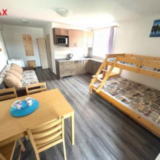 Prodej bytu 1+kk a garsoniéry 26 m² Nová Pec