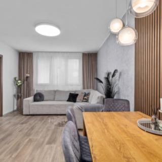 Prodej bytu 2+kk 54 m² České Budějovice 7, Lidická tř.