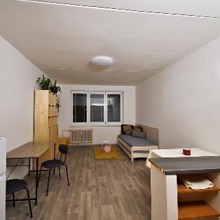 Pronájem bytu 1+kk a garsoniéry 31 m² Týn nad Vltavou, Hlinecká