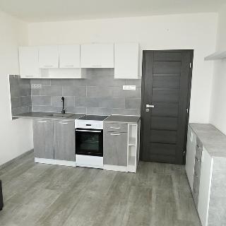 Pronájem bytu 1+1 40 m² České Budějovice, Plzeňská