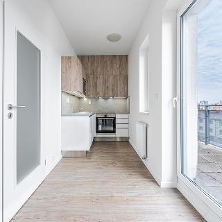 Pronájem bytu 1+kk a garsoniéry 46 m² České Budějovice, K. Šafáře