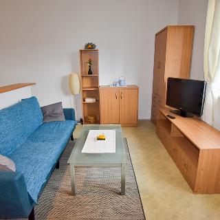 Pronájem bytu 1+kk a garsoniéry 33 m² České Budějovice, Větrná